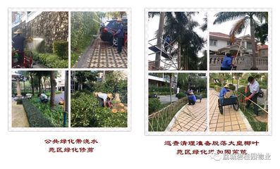 荔城碧桂園2019年1月第四周工作簡報暨苑區重點改造項目匯報