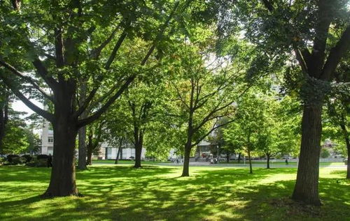 “十三五”時(shí)期我國園林綠化施工行業(yè)前景展望與分析報(bào)告